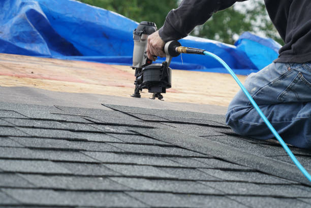 Roof Gutter Cleaning in Semmes, AL